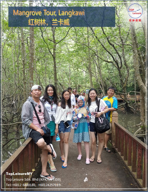 mangrove langkawi 1