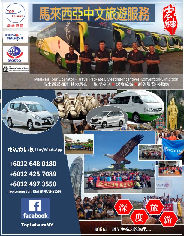 school holiday chartered car services