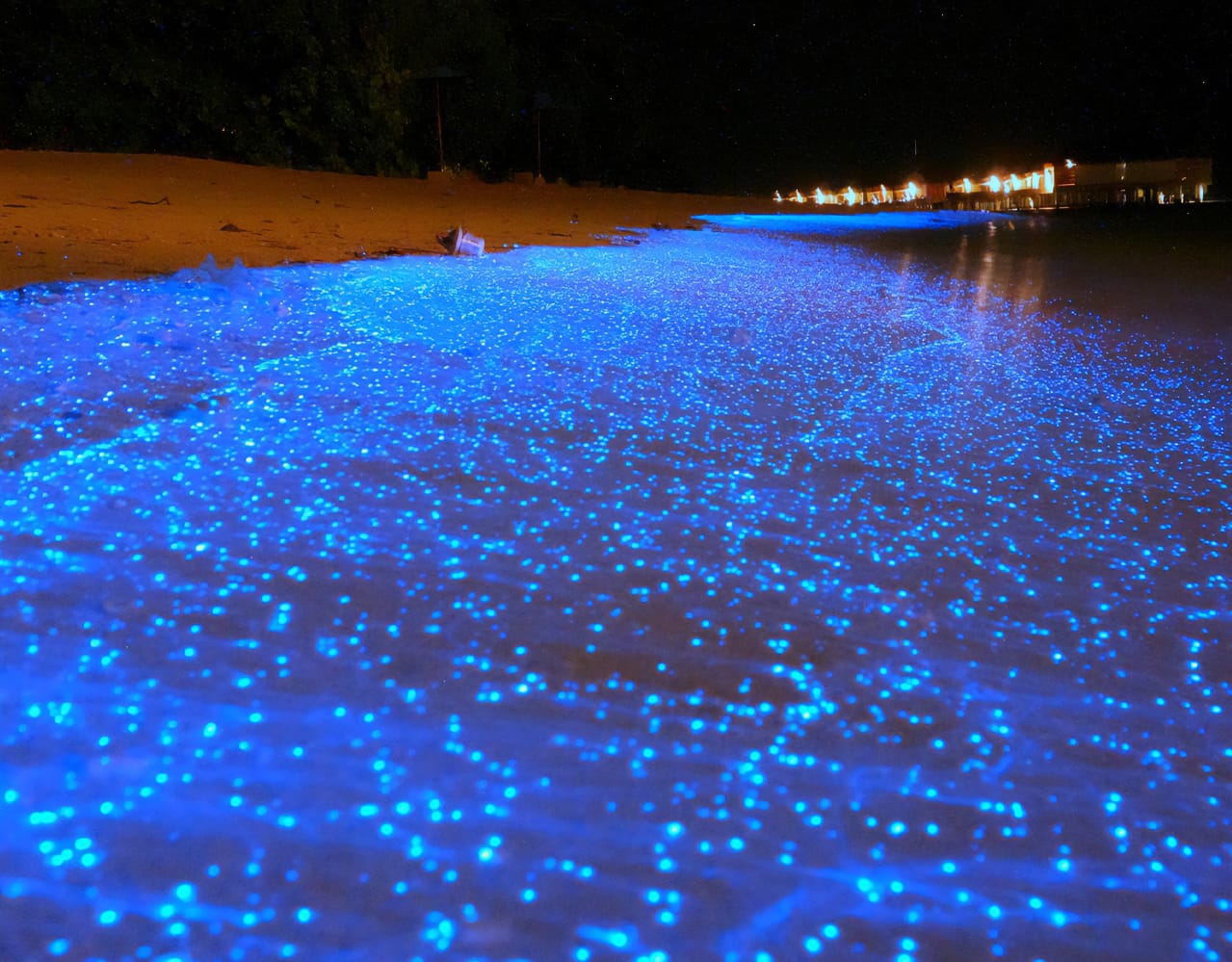 kuala selangor blue tears