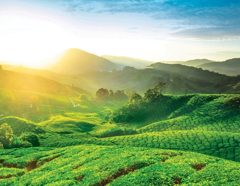 金馬倫高原包車一日游