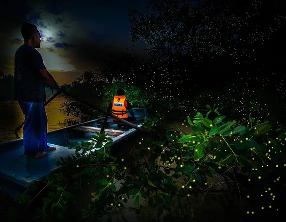 瓜拉雪蘭莪包車一日游